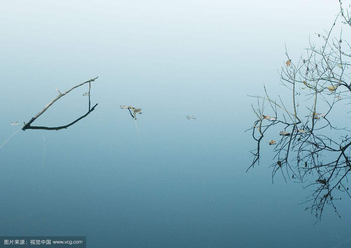 土壤水分測(cè)定儀