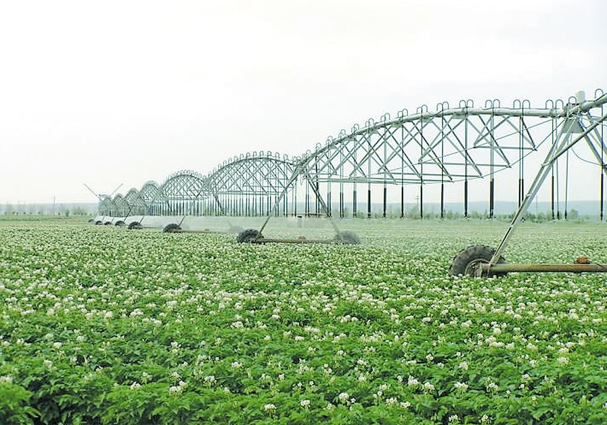 土壤養(yǎng)分測定儀