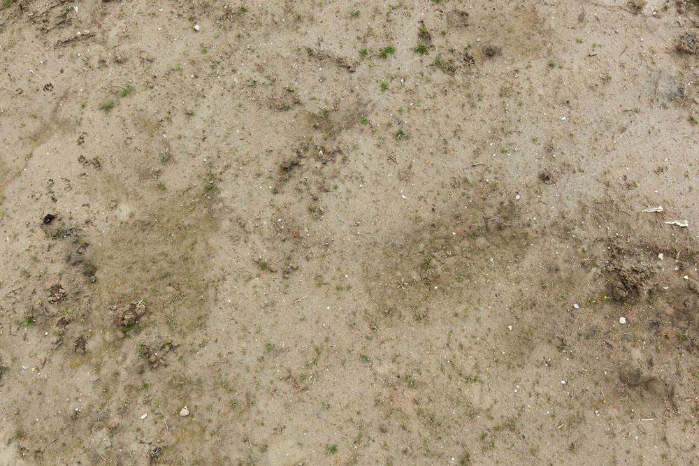 土壤養(yǎng)分速測儀、