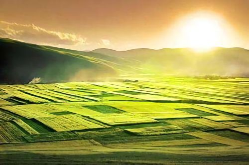 土壤重金屬檢測(cè)儀