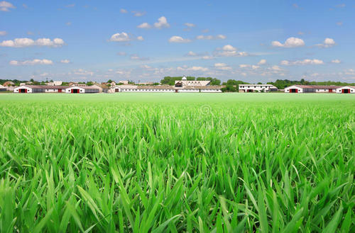 土壤養(yǎng)分測(cè)試儀