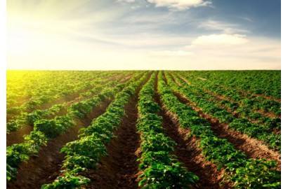 土壤pH檢測(cè)儀